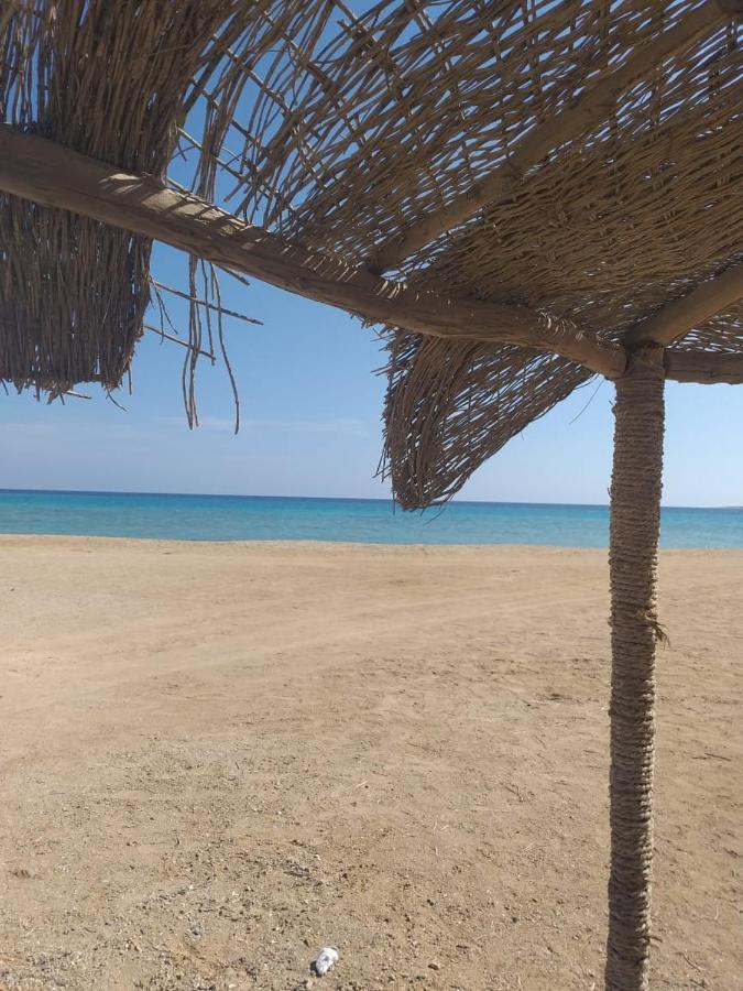 Deep South Eco-Lodge Marsa Alam 外观 照片