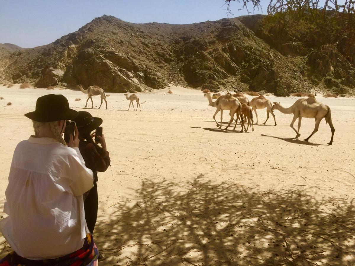 Deep South Eco-Lodge Marsa Alam 外观 照片